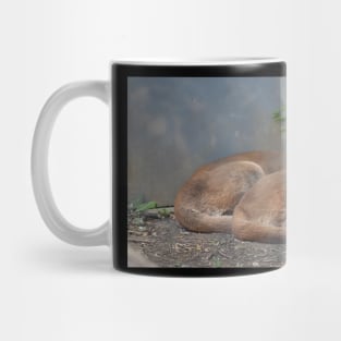 Cougars Mug